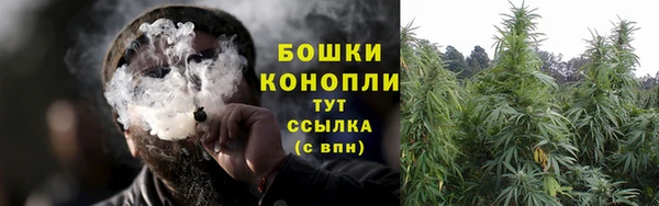 эйфоретик Новодвинск