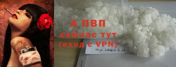 гидра Новокубанск