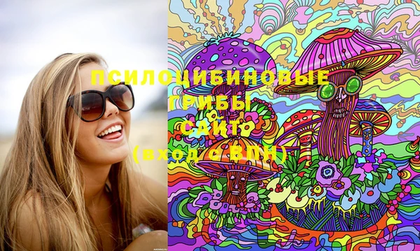 эйфоретик Новодвинск
