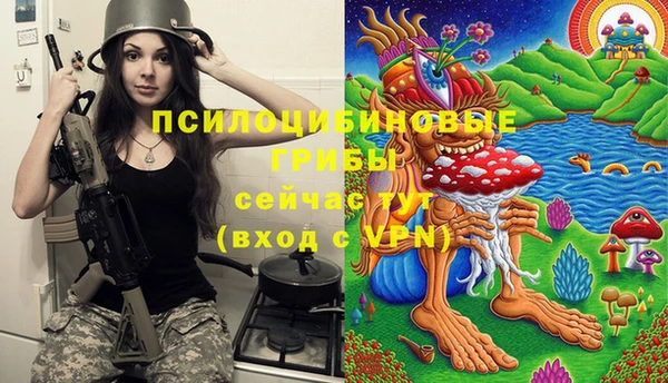 молекула духа Ленинск-Кузнецкий